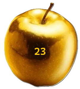 A description of the image